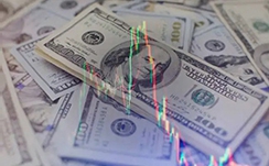 工业银行荣获2024年银行业财富管理论坛 “绿色金融金牛奖”